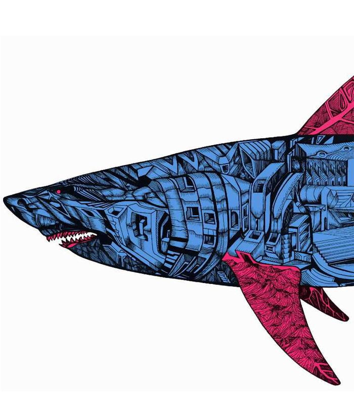 Battle shark, red tailed blue, detail 1, by Marko Gavrilovic