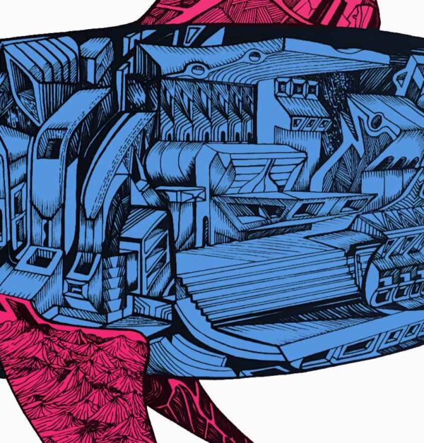 Battle shark, red tailed blue, detail 2 Battle shark, detail 1