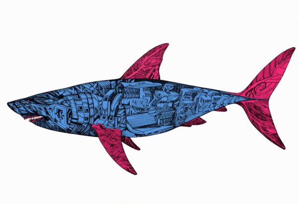 Battle shark, red tailed blue, print on paper Battle shark, red tailed blue, print on paper