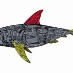 Battle shark by Marko Gavrilovic