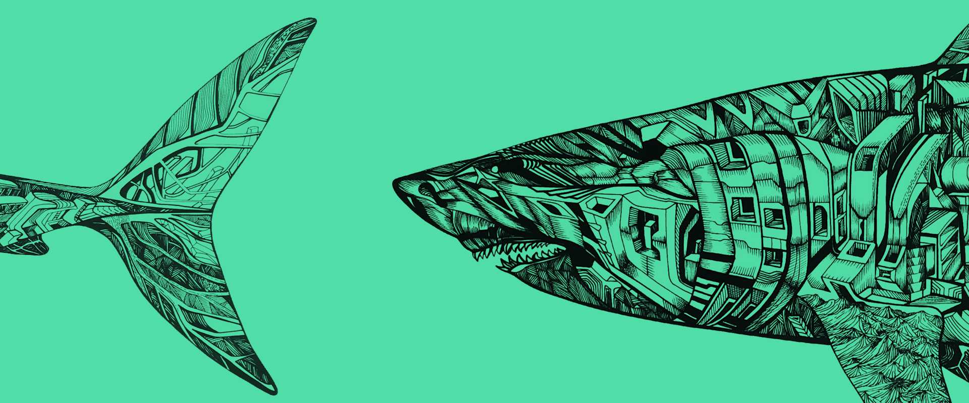 Green shark header, Marko Gavrilovic