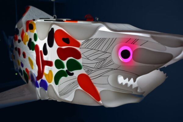 Imaginative wanderer 2, shark sculpture, close up