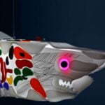 Imaginative-wanderer-2-shark-sculpture by Marko Gavrilovic